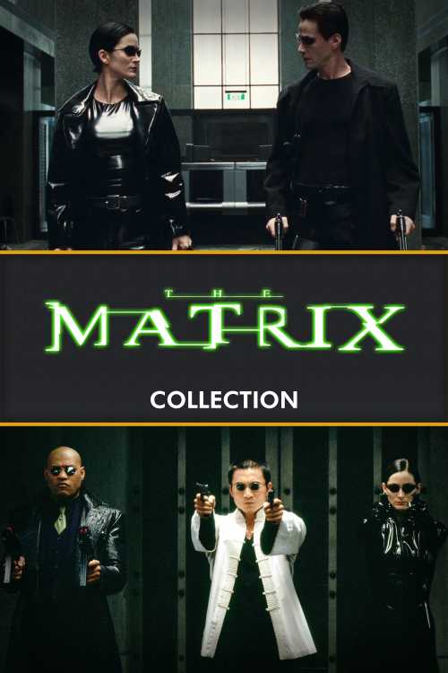 The Matrix Collection - Homelessbrian | The Poster Database (TPDb)