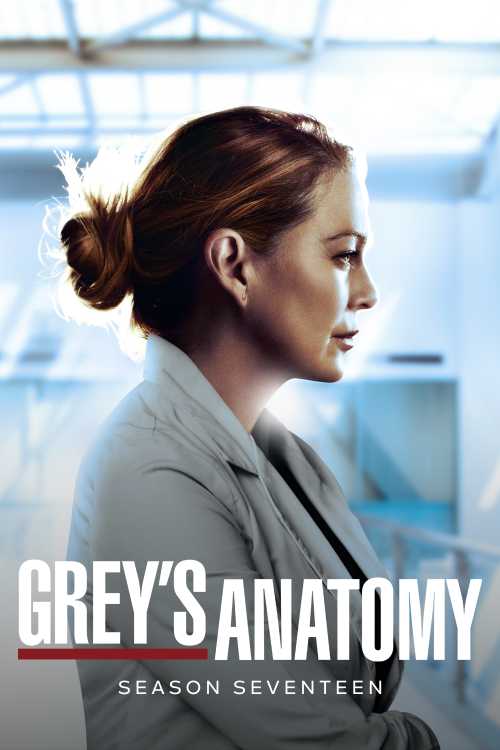 Grey's Anatomy (2005) - Season 17 - GrandSlam4Par | The Poster Database - How Many Episodes Of Season 17 Grey's Anatomy
